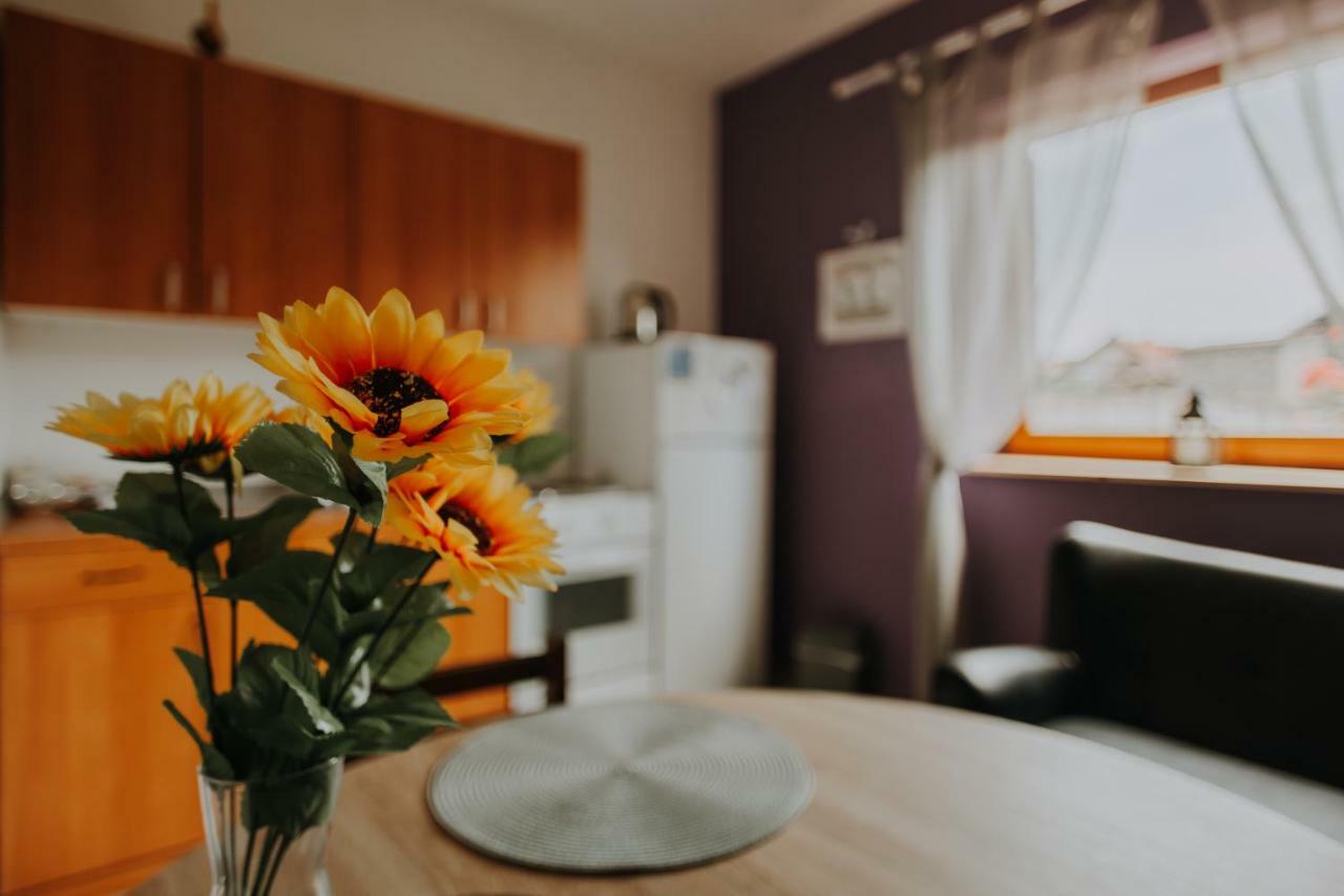 Apartmani Marin Vukovar Buitenkant foto