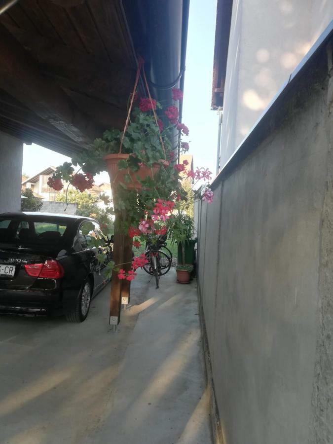 Apartmani Marin Vukovar Buitenkant foto